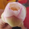 sun~老师的头像