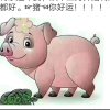 思念的头像