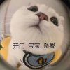 老烊他媳妇的头像