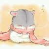 来时冬至的头像