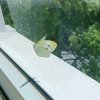 以声作哲Someone՞的头像