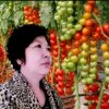 瞅ꦿ瑚婷᭄᭄ꦿ的头像