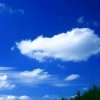 藍天白雲 的头像