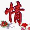 网络情缘的头像