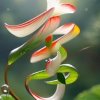 菊花香的头像