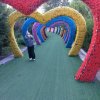 顺其自然的头像