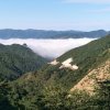 余生的头像