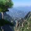 云中歌的头像