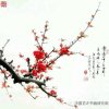 丛中笑的头像