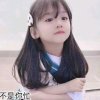 木棉花的头像