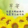 向日葵的头像