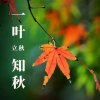 心姐的头像