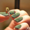 青石苔苋的头像