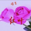 红叶的头像