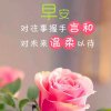 听雨临风的头像