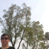 沉默的头像