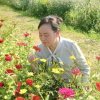 杏子的头像