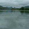 无言递温柔的头像