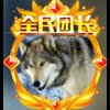 西北战狼的头像