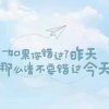 今日推荐的头像