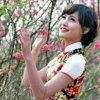 放飞梦想的头像