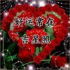 雨 后彩虹的头像
