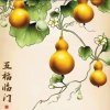 马放南山的头像