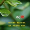 夜夜秋雨的头像