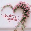 清風醉逍遙【停币不回礼】的头像