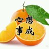 平安::是福:暂离……的头像