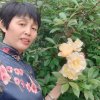 英姿的头像