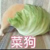 以后会改的的头像