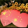 知足常乐的头像