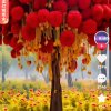 逍遥自在的头像