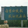 爱唱的头像