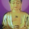 李海波的头像
