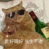 猫与喵的头像