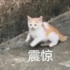 黎REI「辰逸」的头像