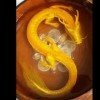 清风的头像