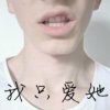 雪山飞狐的头像
