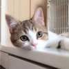 鹿析。mio的头像
