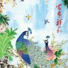 如雪的头像