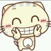 baby wang的头像