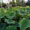 珍惜缘的头像
