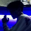 迷恋的头像