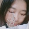 清风明月的头像