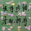 雨过的彩虹的头像