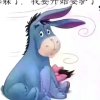 随心所欲的头像