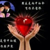 江中燕的头像