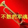 军魂的头像